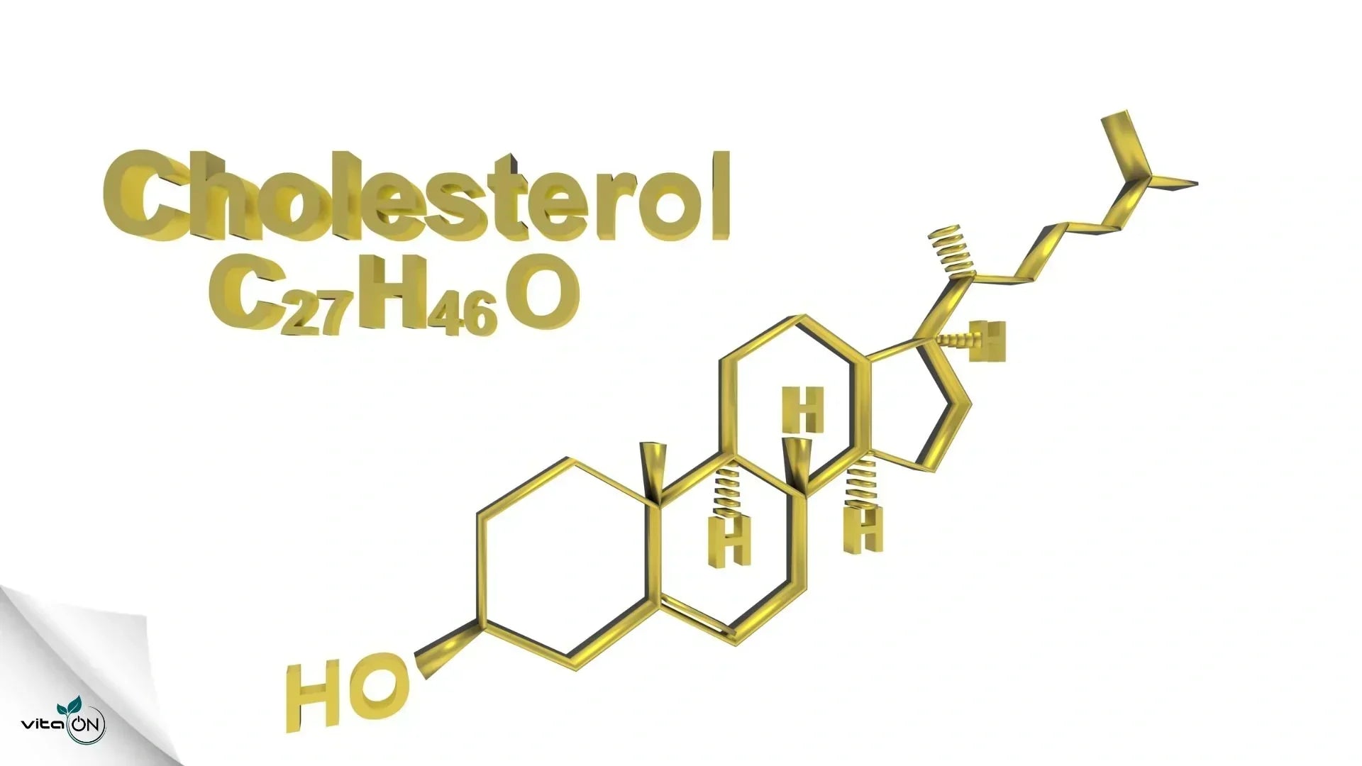 Всичко за холестерола: опасен ли е и как да понижите нивата му