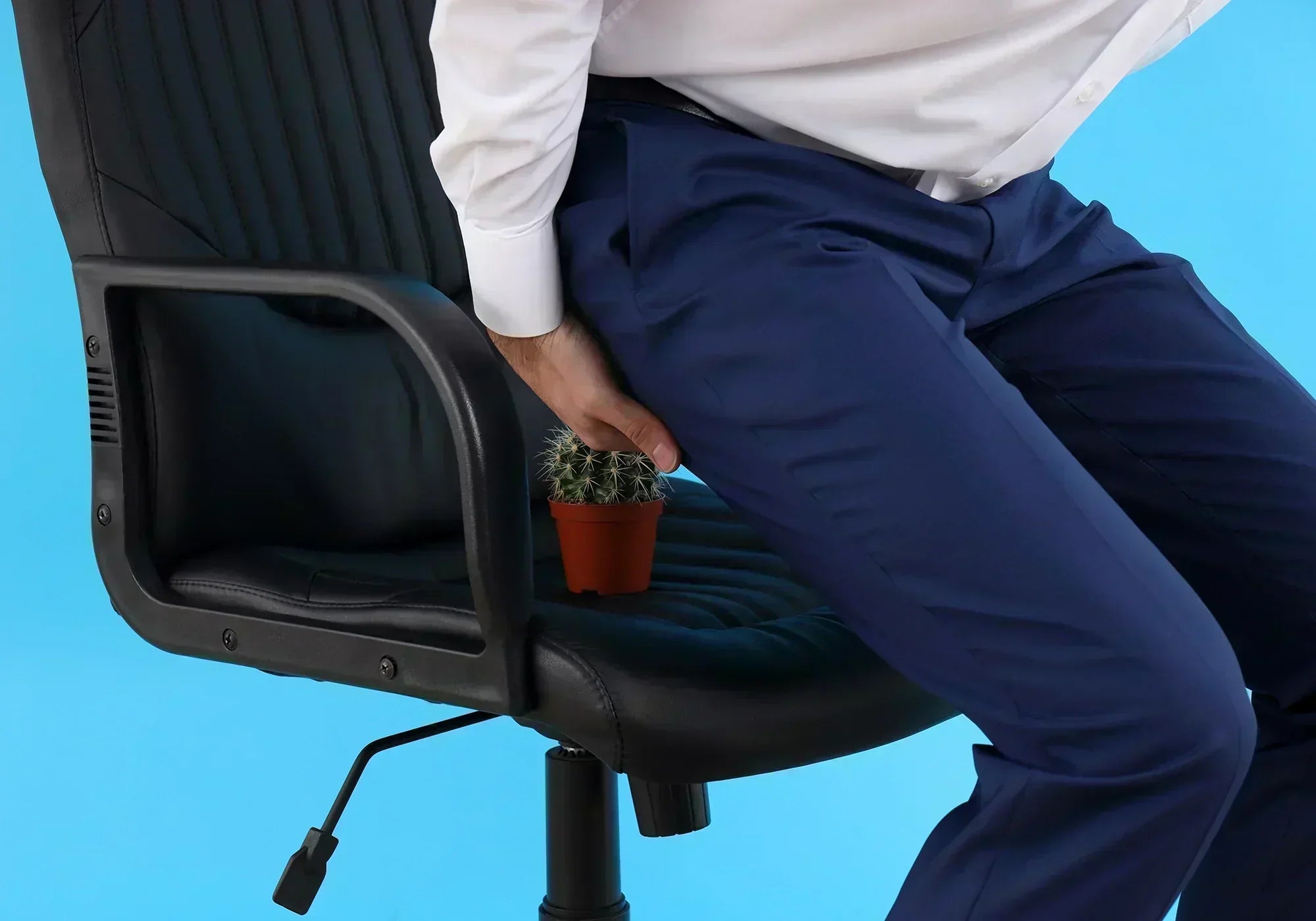 Ползи от белия равнец при хемороиди