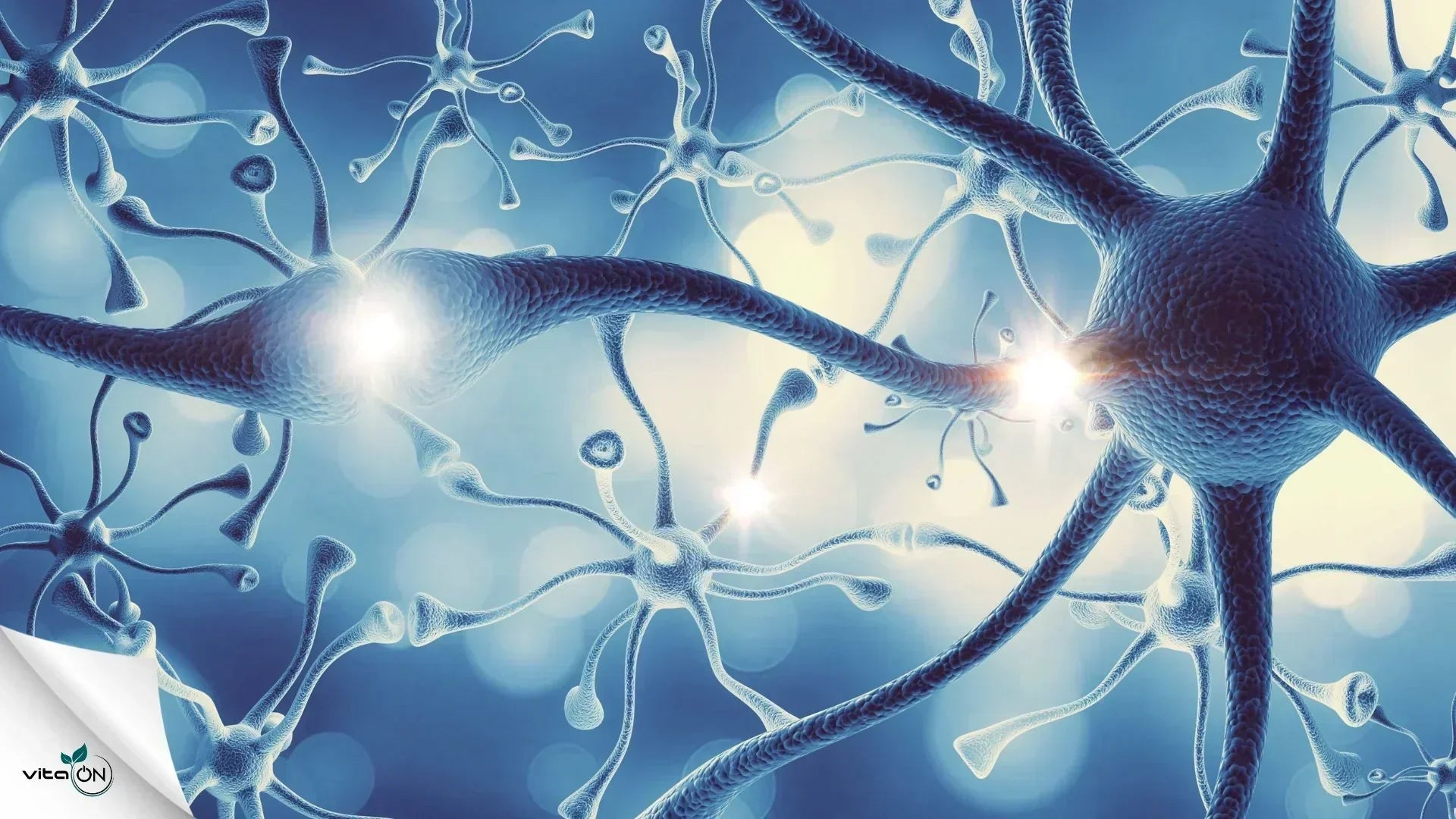 Кога се налага прием на противовъзпалителни за периферната нервна система