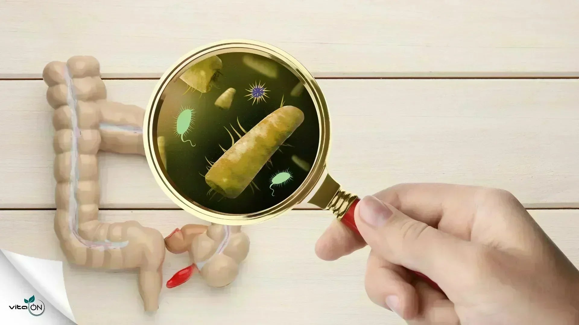 Какво да правим при възпалени тънки черва