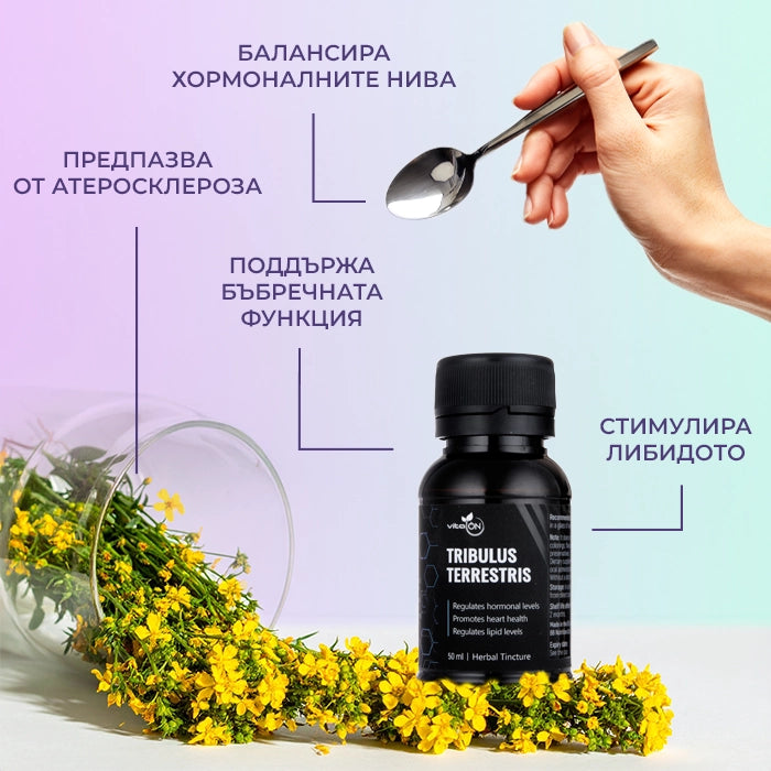 Ползи от прием на тинктура Бабини зъби