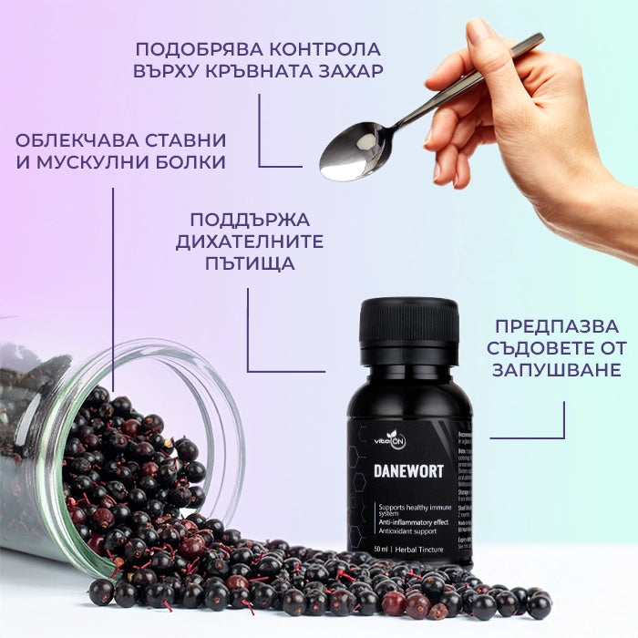 Ползи от прием на Тинктура Бъзак