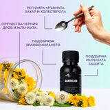 Ползи от приема на тинктура Глухарче