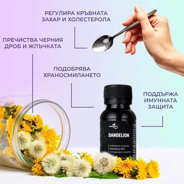 Ползи от приема на тинктура Глухарче