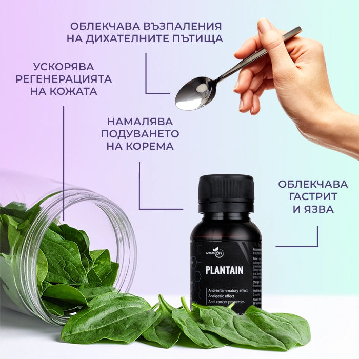 Ползи от приема на тинктура "Живовляк"