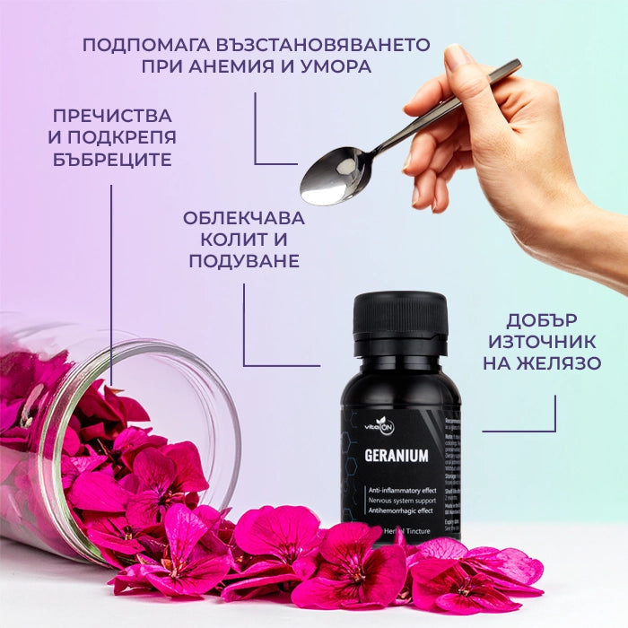 Ползи от приема на тинктура Кръвен здравец