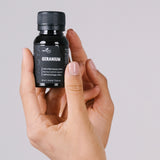 Билката има полезни свойства при язва, гастрит и колит