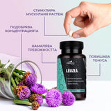 ползи от приема на Левзея от vitaon