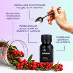 Ползи от приема на тинктура "Мечо грозде"