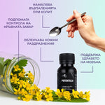 Ползи от приема на тинктура "Пълзяща тинтява"